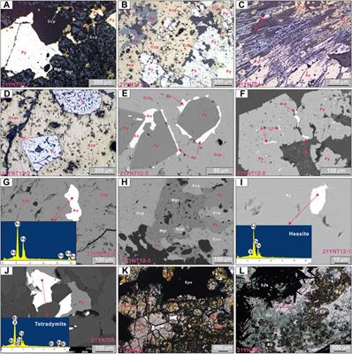 Metallogeny of the Yi’nan Tongjing Au–Cu skarn deposit, Luxi district, North China Craton: Perspective from in-suit trace elements, sulfur and lead isotopes of sulfides